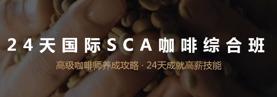 24天国际SCA咖啡综合班课程.jpg