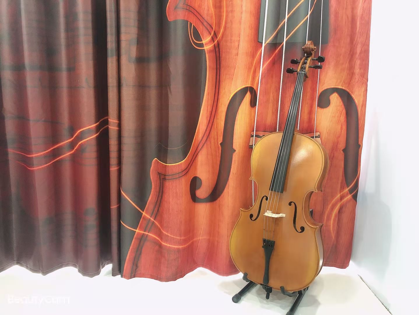 郑州大提琴音乐培训费用是多少.jpg