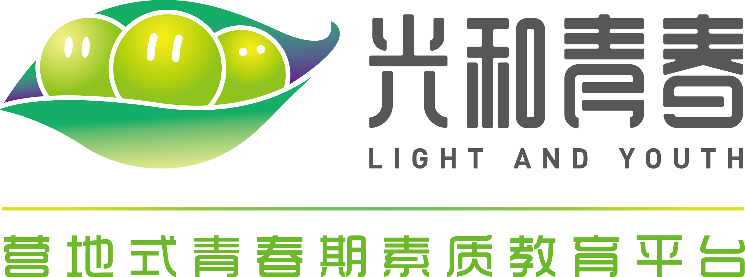 光和青春logo—横版.png