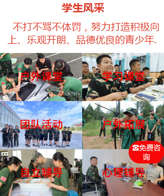 1704265129863416.png QQ截图20231120165624.png