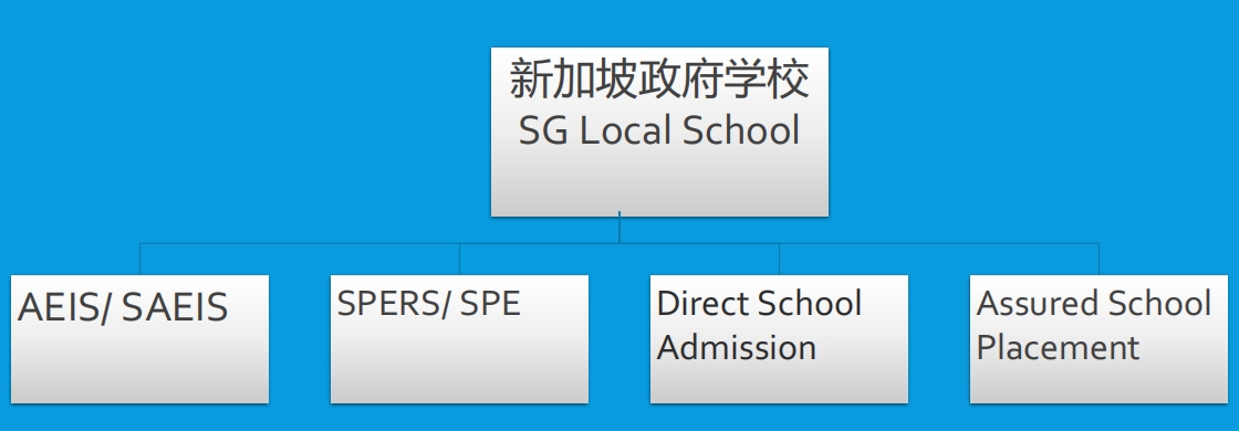 新加坡政府学校.png