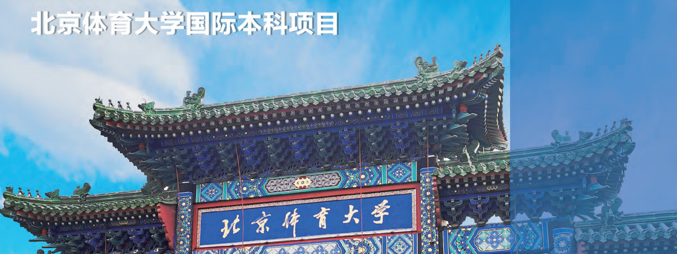 国际本科2.png